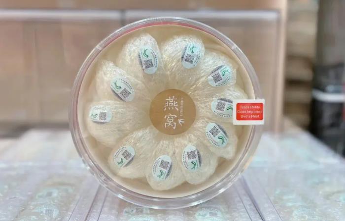 江门市虫草回收店还行